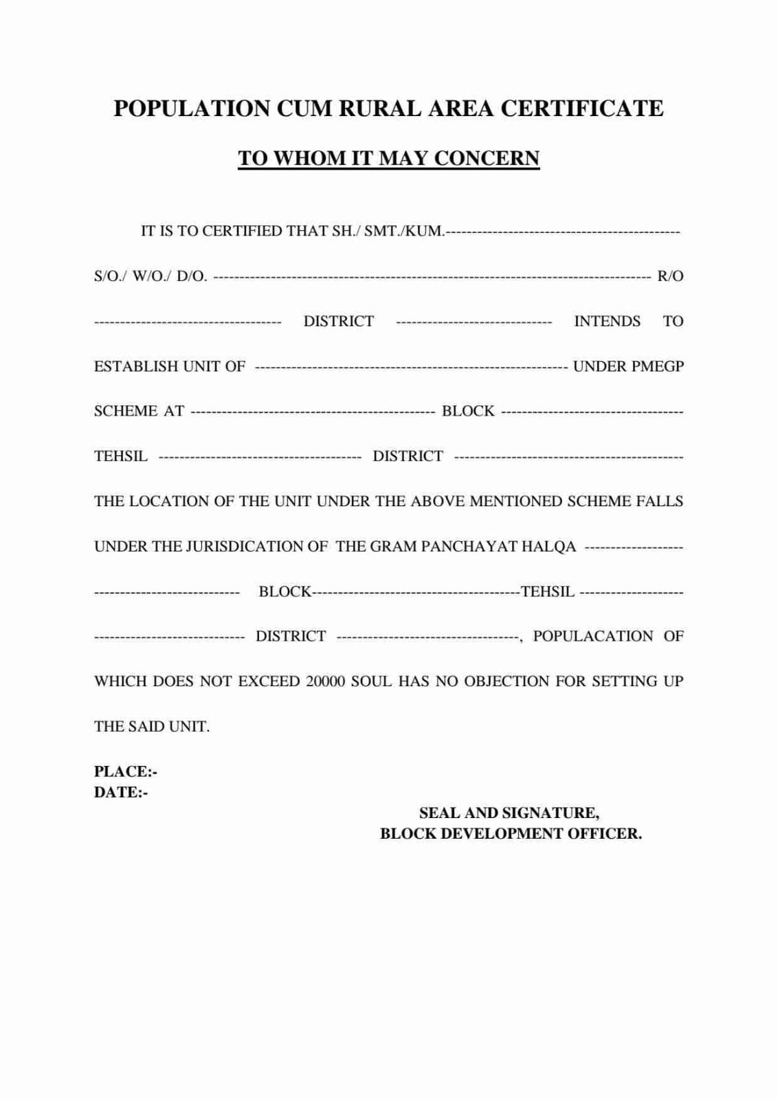 PMEGP LOAN AND SUBSIDY