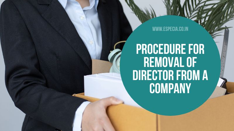 ROC/ MCA  Compliances and Filings